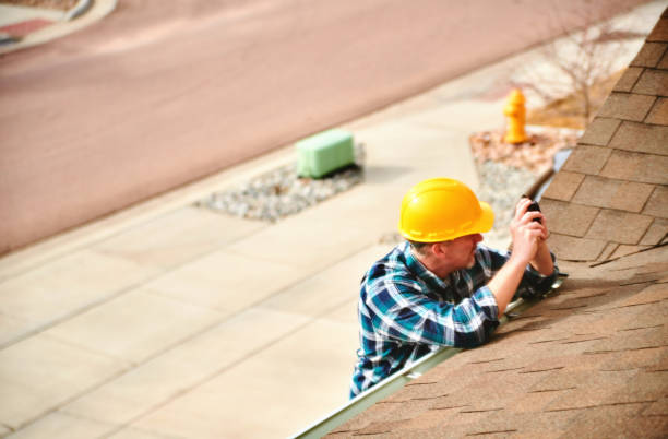 Best Roof Gutter Cleaning  in Craig, AK